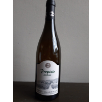 'Cardito', Malvasia Puntinata, Giangirolami, Lazio, BIO, 2023